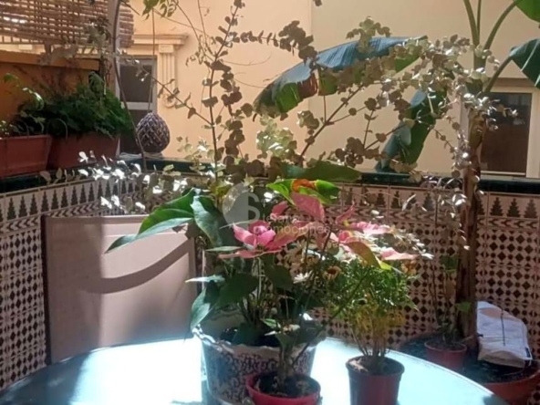 image_1520536_8.jpg