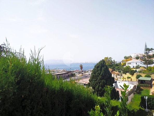 image_1524549_1.jpg
