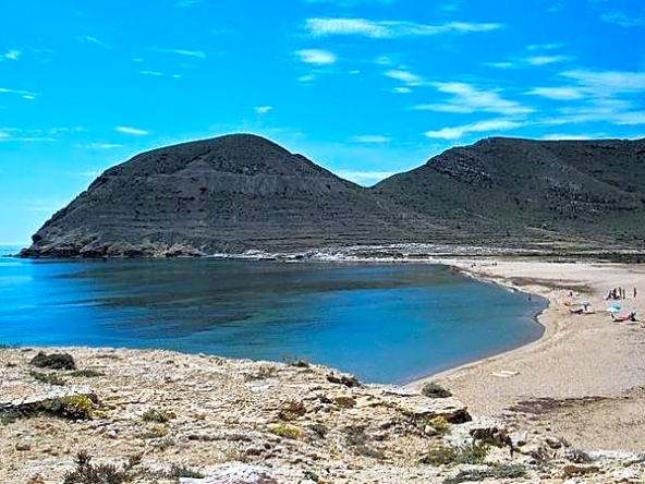 image_1533057_61.jpg