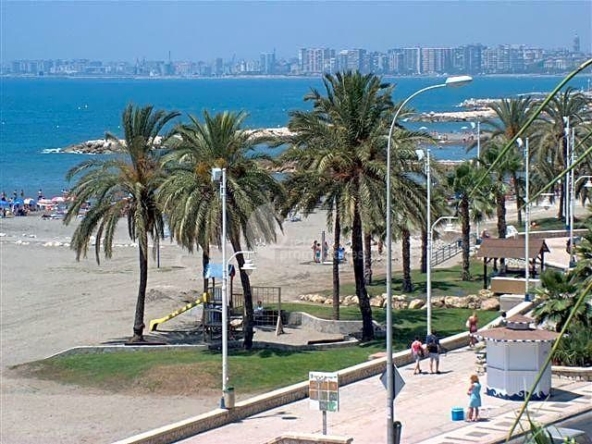 image_1539350_25.jpg