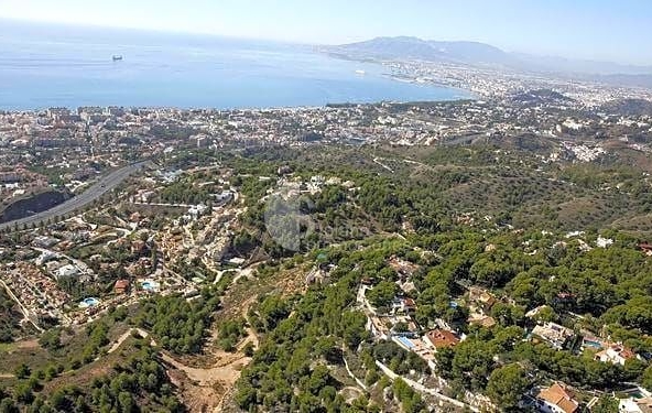 image_1543165_23.jpg