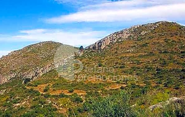 image_1546007_56.jpg