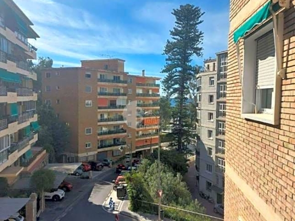 image_1547040_31.jpg
