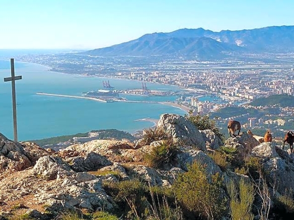 image_1547159_59.jpg