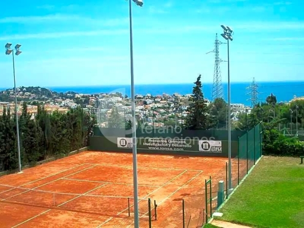 image_1547159_60.jpg
