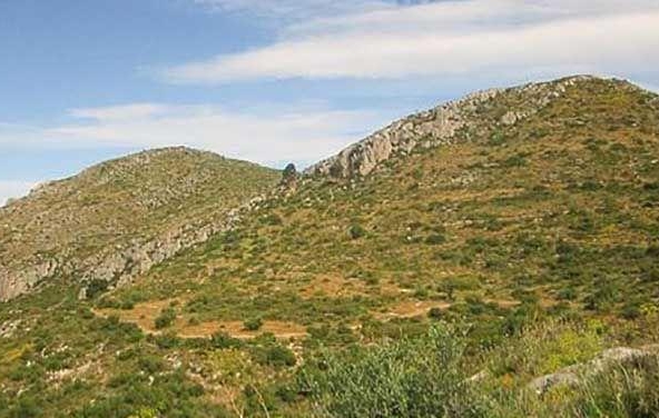 image_1547159_64.jpg