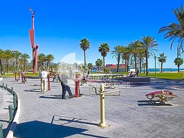 image_1547801_33.jpg