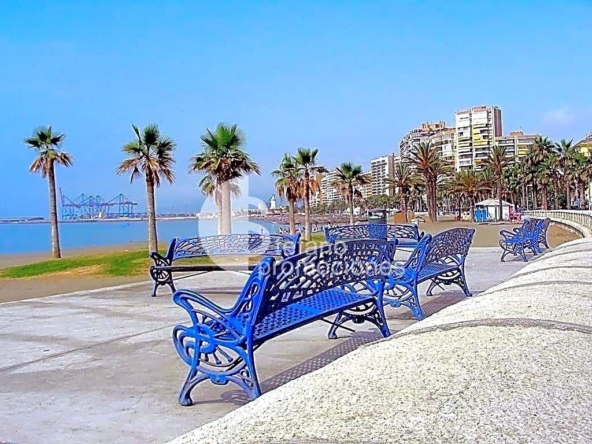 image_1547801_35.jpg
