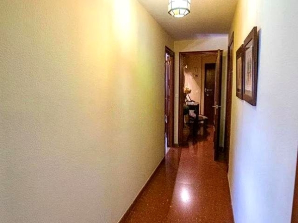 image_1548681_27.jpg