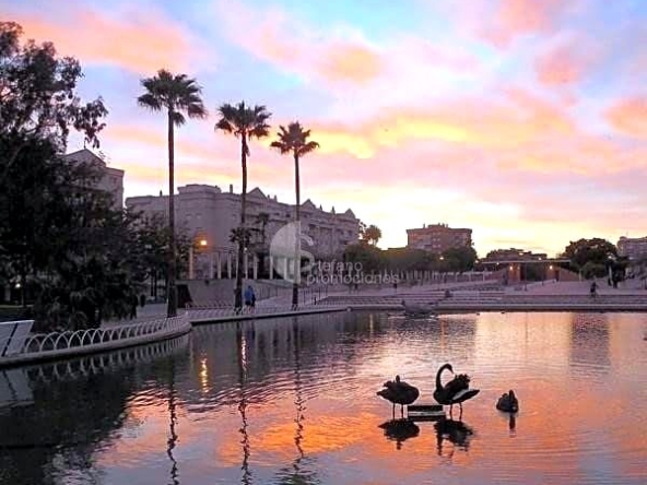 image_1549159_22.jpg