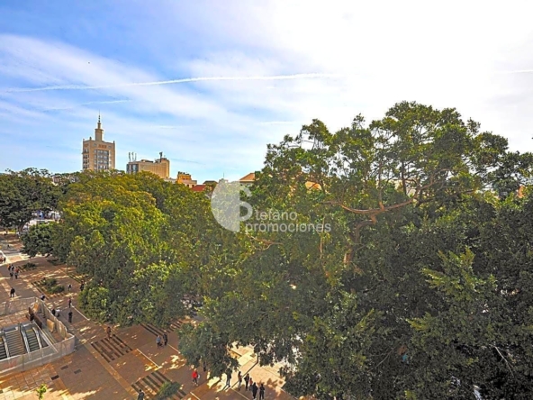 image_1537928_42.jpg