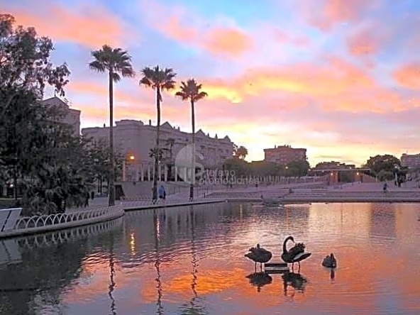 image_1546214_42.jpg