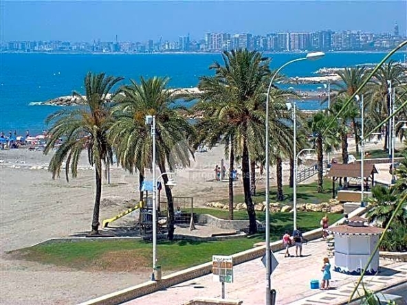 image_1546627_58.jpg
