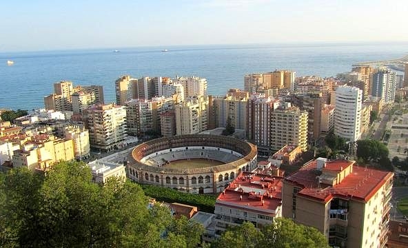image_1554103_31.jpg