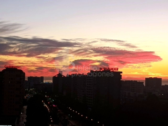 image_1554504_7.jpg