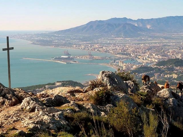 image_1554855_33.jpg