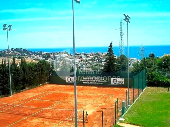 image_1554855_35.jpg
