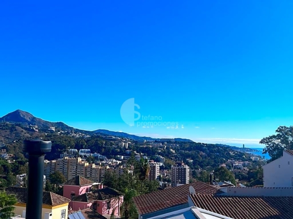 image_1557435_2.jpg