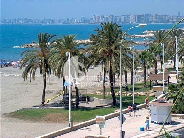 image_1557880_74.jpg