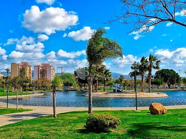 image_1560064_31.jpg