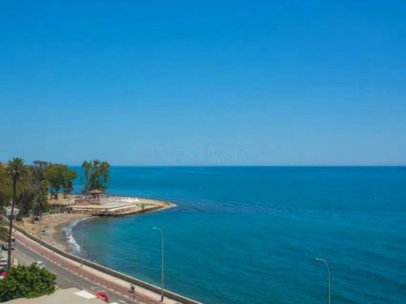 image_1560365_22.jpg