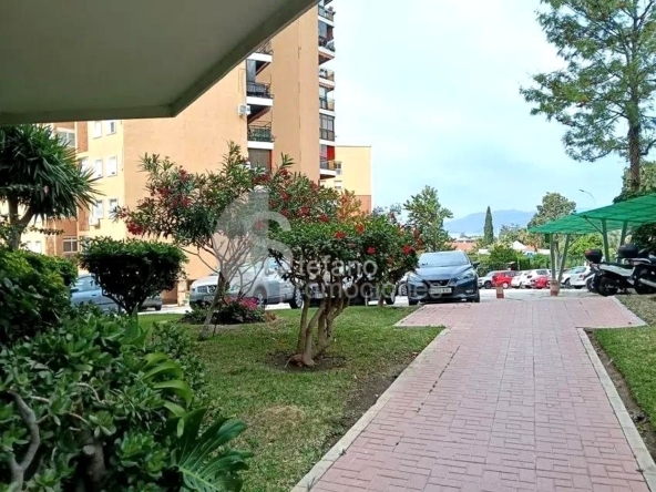 image_1560706_19.jpg