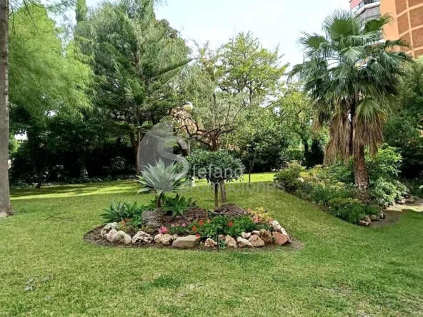 image_1560706_3.jpg