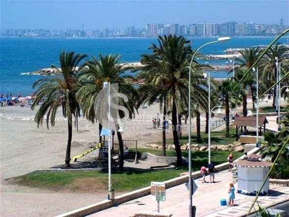 image_1560706_39.jpg