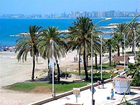 image_1561217_28.jpg