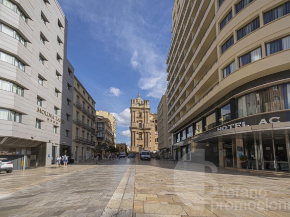 ESPECTACULAR ÁTICO DÚPLEX EN PLENO CENTRO. ELEGANCIA, AMPLITUD Y UNA TERRAZA DE ENSUEÑO PARA DISFRUTAR DEL CIELO DE MÁLAGA REF:64893