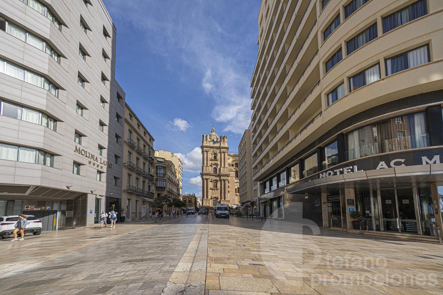 ESPECTACULAR ÁTICO DÚPLEX EN PLENO CENTRO. ELEGANCIA, AMPLITUD Y UNA TERRAZA DE ENSUEÑO PARA DISFRUTAR DEL CIELO DE MÁLAGA REF:64893