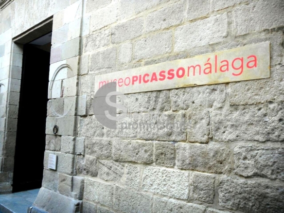 JOYA EN EDIFICIO HISTÓRICO LLENO DE ENCANTO Y LEGADO ARTÍSTICO EN EL CORAZÓN DE MÁLAGA. REF:65023