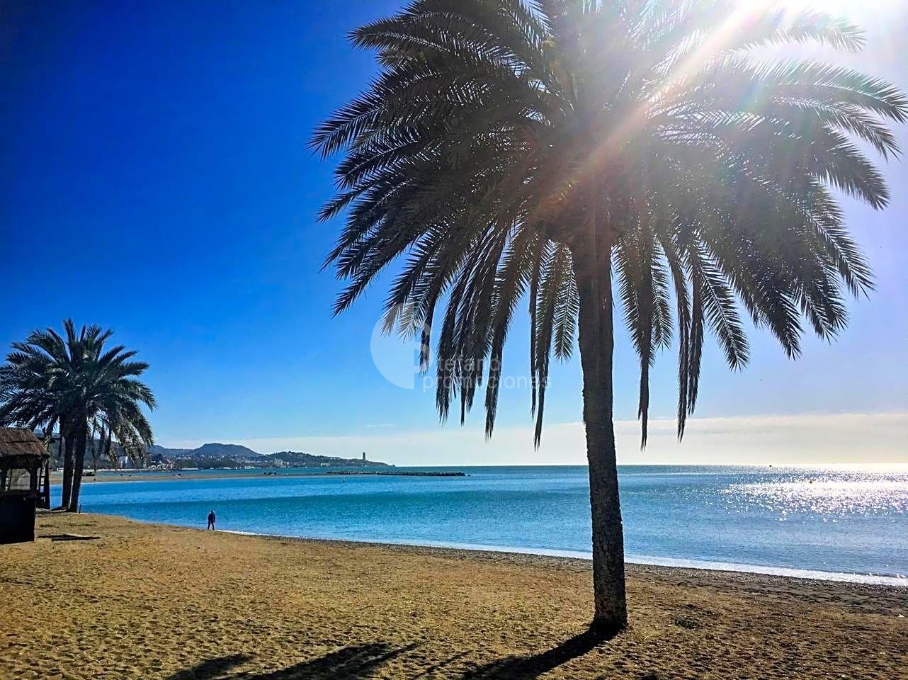 ¡OPORTUNIDAD ÚNICA EN LA ZONA MÁS EXCLUSIVA Y PRESTIGIOSA DE MÁLAGA! ESTA ESPECTACULAR VIVIENDA TOTALMENTE EXTERIOR TE ENVUELVE EN LUZ NATURAL GRACIAS REF:65120