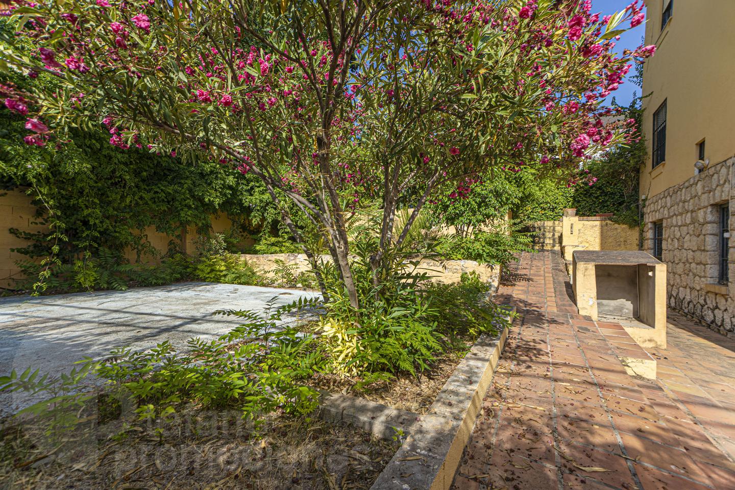 image_1574654_5.jpg EXCLUSIVO PALACETE SEÑORIAL A SOLO 350 METROS DEL MAR EN EL LIMONAR: UNA PIEZA ARQUITECTÓNICA ÚNICA DE 330 M² CON ALTOS TECHOS REF:65144